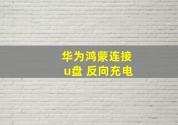 华为鸿蒙连接u盘 反向充电